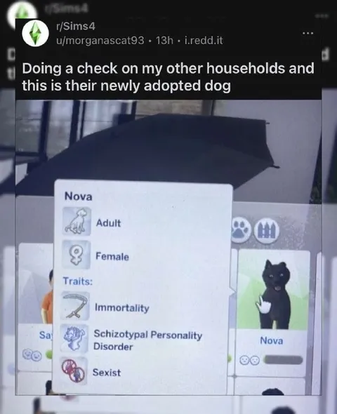 Newly Adopted Dog Has Traits