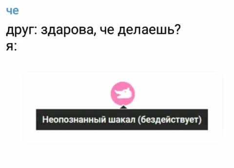 Неопознанный шакал бездействует