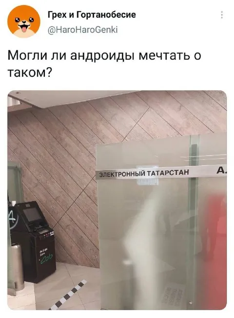 Андроиды мечтают об электронном Татарстане