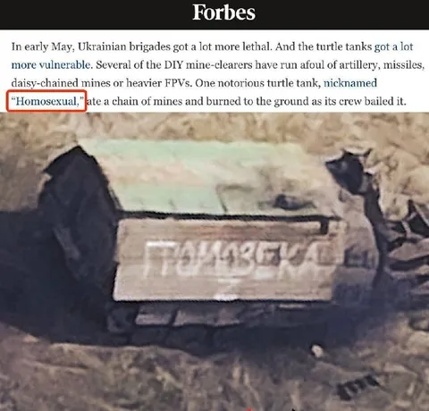 Homosexual Turtle Tank Misread