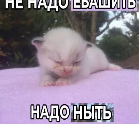 Не надо ебашить, надо ныть