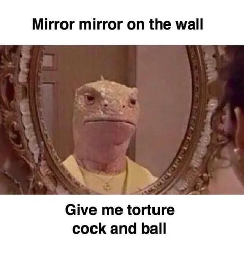 Mirror Mirror Cock and Ball