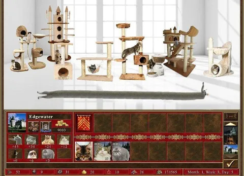 Cats Playing a Strategy Game