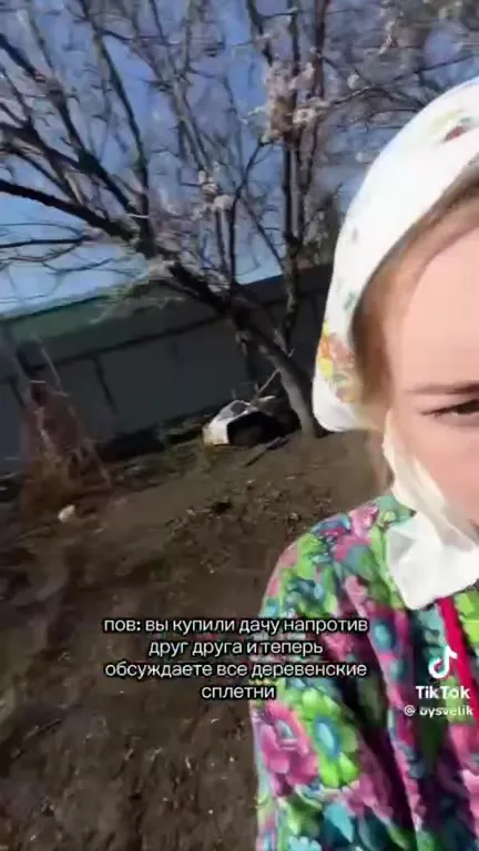 Дачные сплетни через дорогу