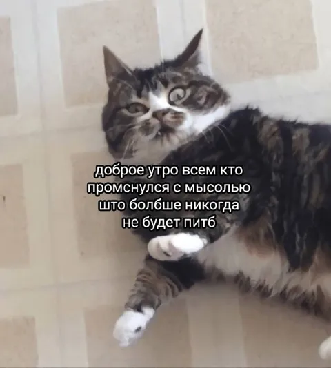 Доброе утро тем, кто промснулся