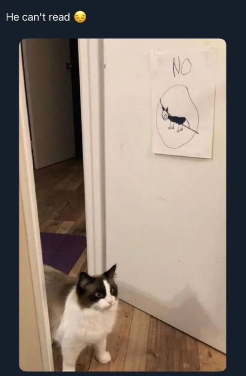 He Can't Read the Sign