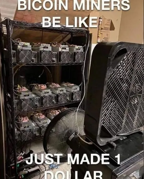 Bitcoin Miners Made One Dollar