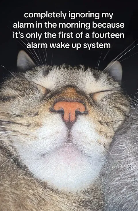 Ignoring the First Alarm