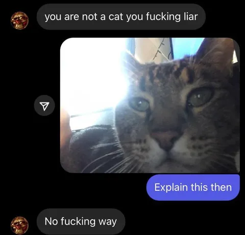 You Are Not a Cat