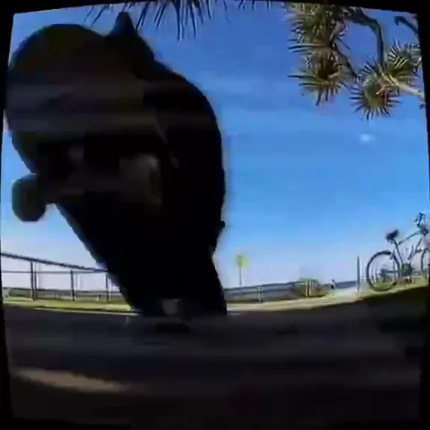 Catcore Skateboard Edit