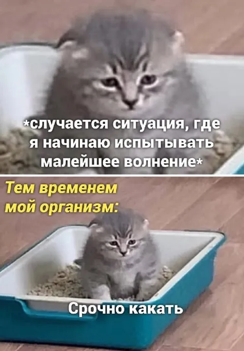 Организм срочно требует какать
