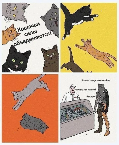 Кошачьи силы объединяются