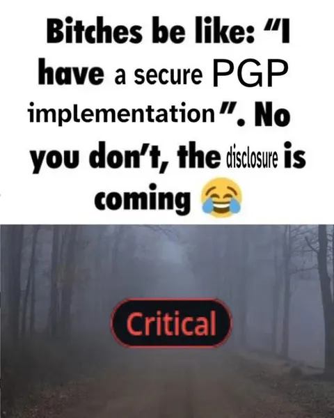 Secure PGP Disclosure Incoming