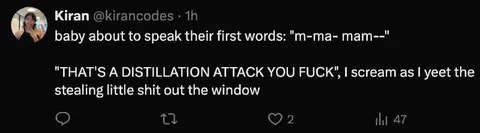 Baby's First Words Distillation Attack