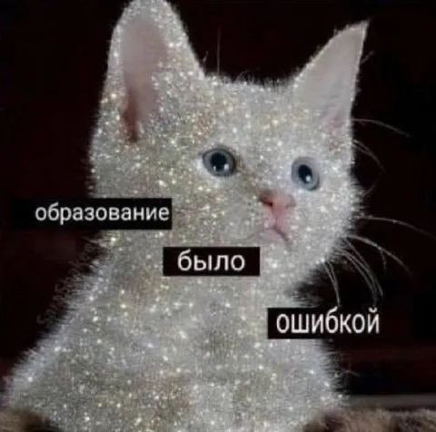 Образование было ошибкой