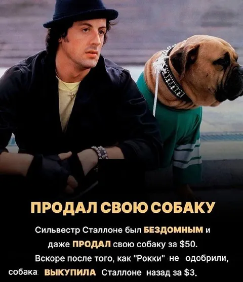 Сильвестр Сталлоне продал собаку