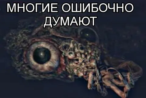Многие ошибочно думают