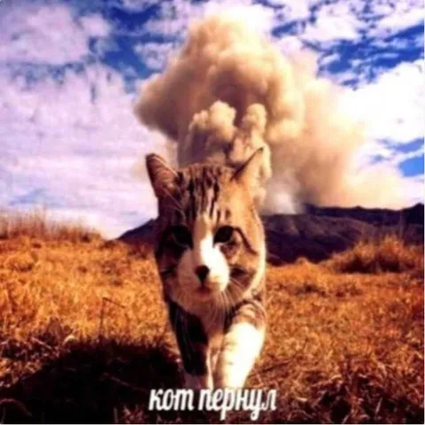 Кот пернул и устроил взрыв