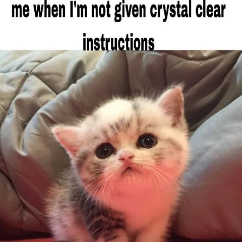 Kitten Needs Clear Instructions