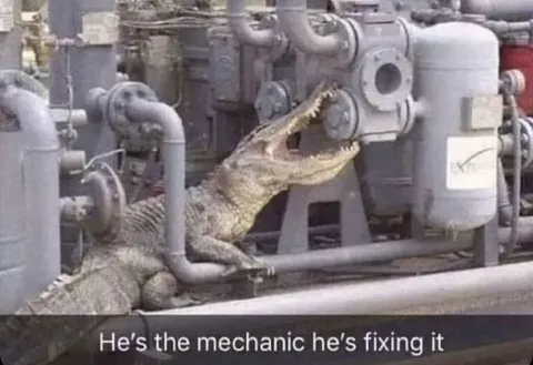 Crocodile Mechanic Fixing Machinery