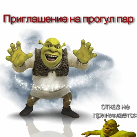 Приглашение на прогулку пар