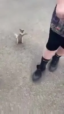 Белка пьёт из бутылки
