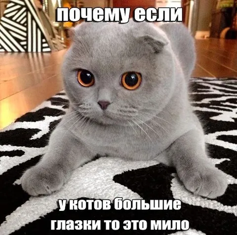 Почему большие глаза — мило