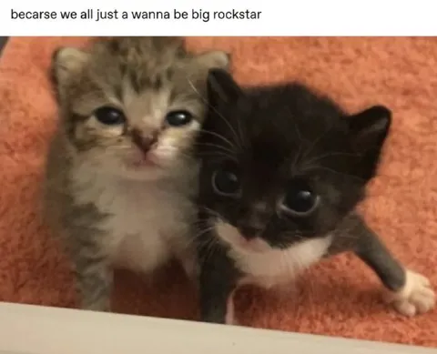 All I Wanna Be Is a Rockstar