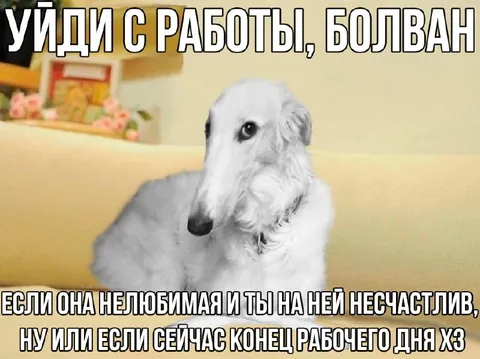 Уйди с работы, болван
