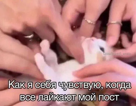 Когда все лайкают мой пост
