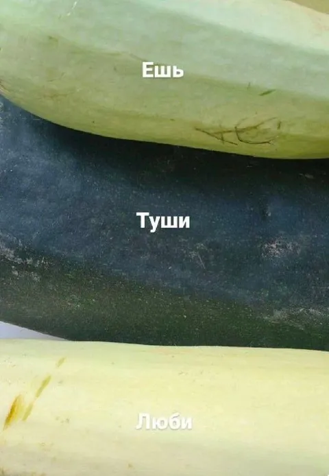 Ешь, туши, люби