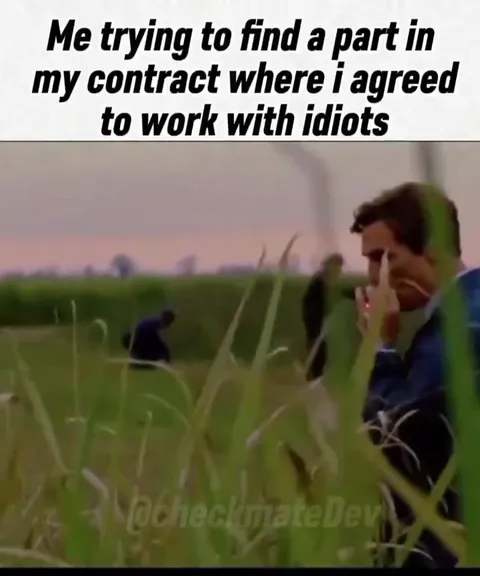 Searching the Contract for Idiots