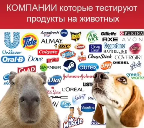 Компании тестируют всё на животных