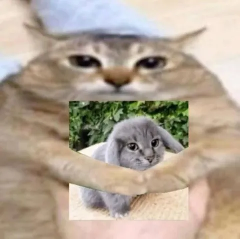 Кот обнимает котёнка