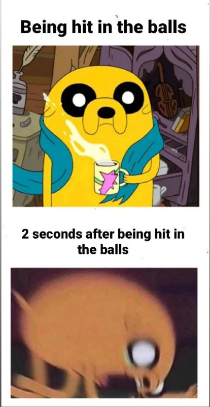Jake After Getting Hit