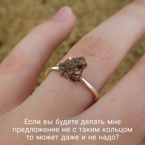 Предложение не с таким кольцом