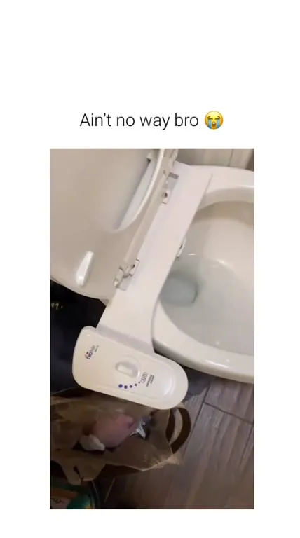 Toilet Bidet Surprise