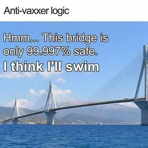 Anti-vaxxer logic bridge swim