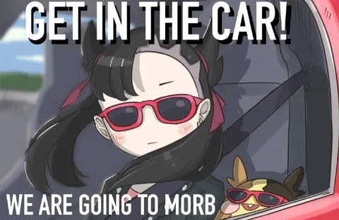 Get in the Car, We're Going to Morb