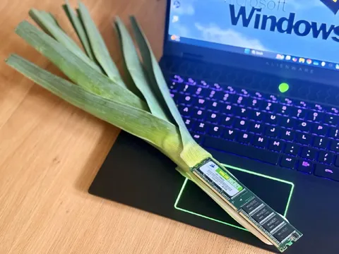 Leek as Laptop RAM