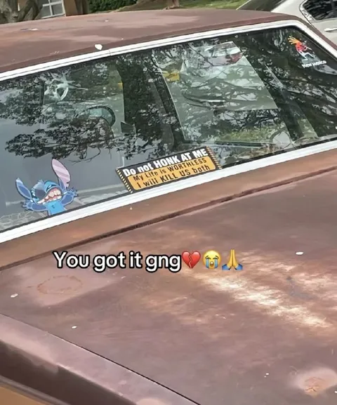 Do Not Honk at Me