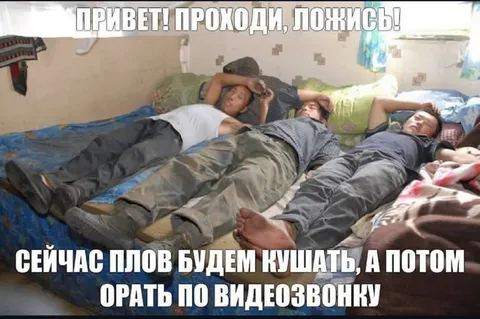 Плов и ор по видеозвонку