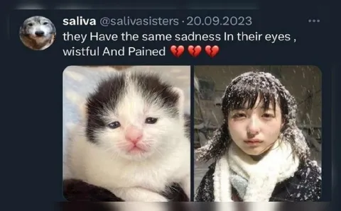 Same Sadness in Their Eyes