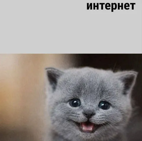 Когда появился интернет