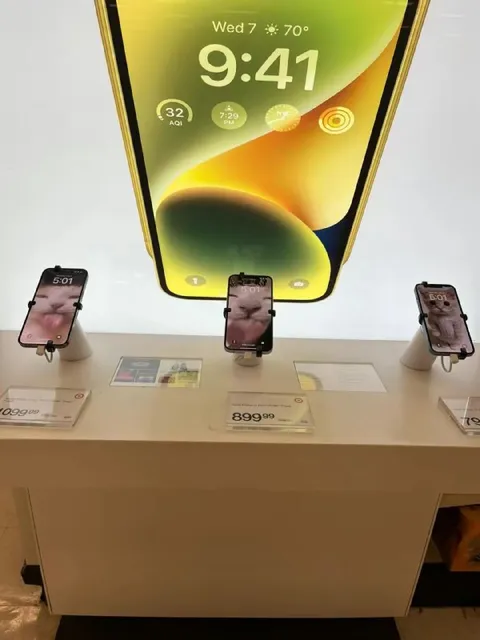 Phones Showing the Same Cat