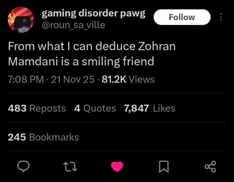 Zohran Mamdani Is a Smiling Friend