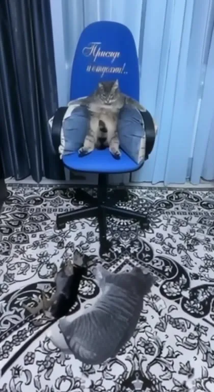 Присядь и отдохни