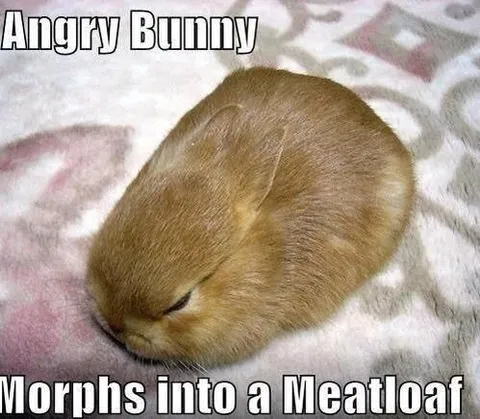 Angry Bunny Meatloaf
