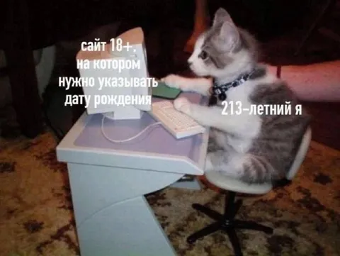 213-летний я на сайте 18+