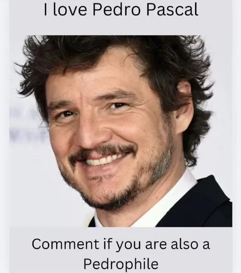 Pedro Pascal Pedrophile Pun